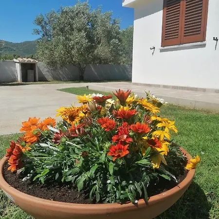 Degli Ulivi Torpe