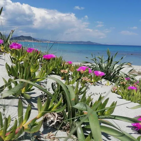 Holiday home Degli Ulivi