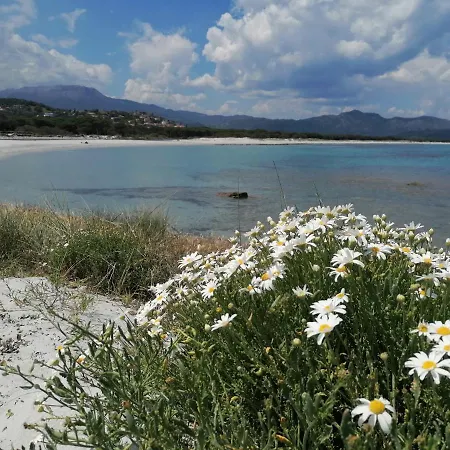 Holiday home Degli Ulivi