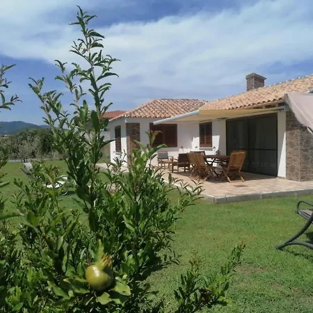 Ferienhaus Degli Ulivi